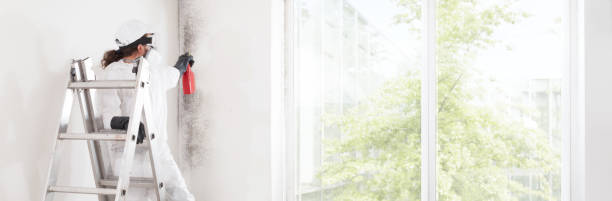 Best Environmental Consulting for Mold Prevention  in East Wenatchee, WA